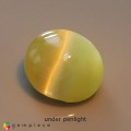 Natural Chrysoberyl cats eye 1.24 Carats Honey Yellow Oval Cabochon 6x5 mm Loose Gemstone - Image 3