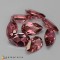 tourmaline  11.29cts - 10x6mm