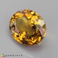 Natural Tourmaline 2.68 Carats Golden Yellow Oval 10x8 mm Loose Gemstone - Image 3