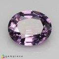Natural Spinel 1.46 Carats Purple Oval 8x6 mm Loose Gemstone - Image 6