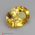 Natural Sapphire 1.55 Carats Golden Yellow Oval 8x6 mm Loose Gemstone - Image 6