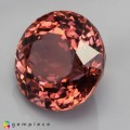 Natural Tourmaline 2.29 Carats Champagne Pink Round 8x6 mm Loose Gemstone - Image 3