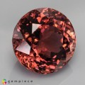 Natural Tourmaline 2.29 Carats Champagne Pink Round 8x6 mm Loose Gemstone - Image 6