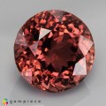 Natural Tourmaline 2.29 Carats Champagne Pink Round 8x6 mm Loose Gemstone - Image 1