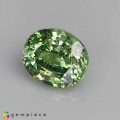 Natural Demantoid garnet 0.64 Carats Green Oval 5x4 mm Loose Gemstone - Image 2