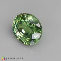 Natural Demantoid garnet 0.64 Carats Green Oval 5x4 mm Loose Gemstone - Image 3