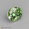 Natural Demantoid garnet 0.64 Carats Green Oval 5x4 mm Loose Gemstone - Image 5