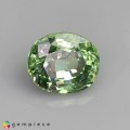 Natural Demantoid garnet 0.64 Carats Green Oval 5x4 mm Loose Gemstone - Image 6