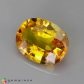 Natural Sapphire 2.58 Carats Golden Yellow Oval 10x7 mm Loose Gemstone - Image 3
