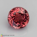 Natural Tourmaline 1.62 Carats Champagne Pink Round 7x5 mm Loose Gemstone - Image 1