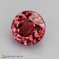 Natural Tourmaline 1.62 Carats Champagne Pink Round 7x5 mm Loose Gemstone - Image 3
