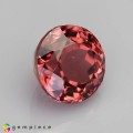 Natural Tourmaline 1.62 Carats Champagne Pink Round 7x5 mm Loose Gemstone - Image 5