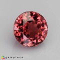 Natural Tourmaline 1.62 Carats Champagne Pink Round 7x5 mm Loose Gemstone - Image 6