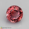 Natural Tourmaline 1.62 Carats Champagne Pink Round 7x5 mm Loose Gemstone - Image 7