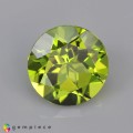 Natural Peridot 4.17 Carats Greenish Yellow Round 10x6 mm Loose Gemstone - Image 7
