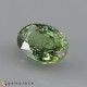 demantoid garnet Demantoid Garnet image