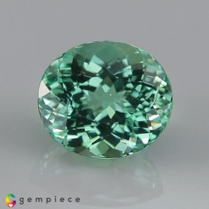 apatite  2.63cts - 9x8mm