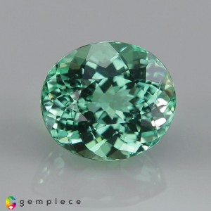 apatite  2.63cts - 9x8mm