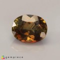 Natural Andalusite 2.92 Carats Multicolor Oval 10x8 mm Loose Gemstone - Image 1