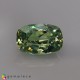 Showing image for demantoid garnet demantoid garnet image