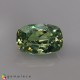 demantoid garnet image