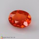 Showing image for fire opal fire opal Fire Opal image