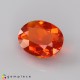 Showing image for fire opal fire opal Fire Opal image