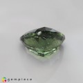 Natural Moldavite 2.81 Carats Forest Green Trilliant  10x6 mm Loose Gemstone - Image 4