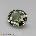 Natural Tourmaline 3.11 Carats Ash Green Oval 10x8 mm Loose Gemstone - Image 2