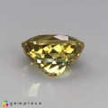 Natural Grossular garnet 1.17 Carats Vivid Yellow Oval 7x5 mm Loose Gemstone - Image 4