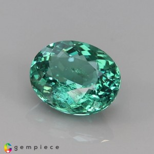 apatite  2.57cts - 9x8mm