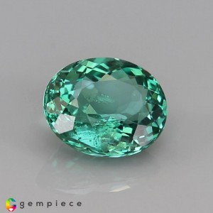 apatite  2.57cts - 9x8mm