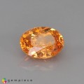 Natural Spessatite garnet 1.25 Carats Fanta Orange Oval 7x5 mm Loose Gemstone - Image 6