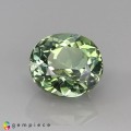 Natural Tourmaline 1.52 Carats Pastel Green Oval 7x6 mm Loose Gemstone - Image 1