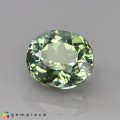 Natural Tourmaline 1.52 Carats Pastel Green Oval 7x6 mm Loose Gemstone - Image 2