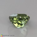Natural Tourmaline 1.52 Carats Pastel Green Oval 7x6 mm Loose Gemstone - Image 4