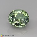 Natural Tourmaline 1.52 Carats Pastel Green Oval 7x6 mm Loose Gemstone - Image 7
