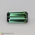 Natural Tourmaline 2.70 Carats Vivid Green Emerald Cut 11x6 mm Loose Gemstone - Image 1