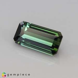 tourmaline  2.70cts - 11x6mm