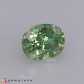 Natural Demantoid garnet 0.65 Carats Green Oval 5x4 mm Loose Gemstone - Image 4