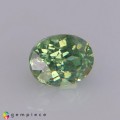 Natural Demantoid garnet 0.65 Carats Green Oval 5x4 mm Loose Gemstone - Image 5