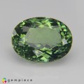Natural Apatite 4.05 Carats Mint Green Oval 11x9 mm Loose Gemstone - Image 2