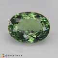 Natural Apatite 4.05 Carats Mint Green Oval 11x9 mm Loose Gemstone - Image 6