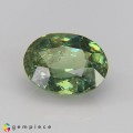 Natural Demantoid garnet 1.57 Carats Green Oval 8x6 mm Loose Gemstone - Image 2