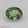 Natural Demantoid garnet 1.57 Carats Green Oval 8x6 mm Loose Gemstone - Image 1