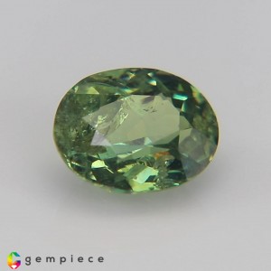 demantoid garnet  1.57cts - 8x6mm demantoid garnet  1.57cts - 8x6mm