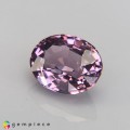 Natural Spinel 1.56 Carats Baby Purple Oval 8x6 mm Loose Gemstone - Image 2