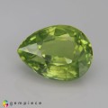 Natural Peridot 4.91 Carats Parrot Green Pear 12x9 mm Loose Gemstone - Image 7