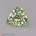 Natural Amblygonite 1.90 Carats Yellowish Green Trilliant  8x5 mm Loose Gemstone - Image 7