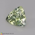 Natural Amblygonite 1.90 Carats Yellowish Green Trilliant  8x5 mm Loose Gemstone - Image 2